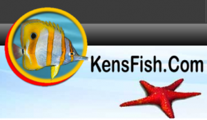 kensfish.com